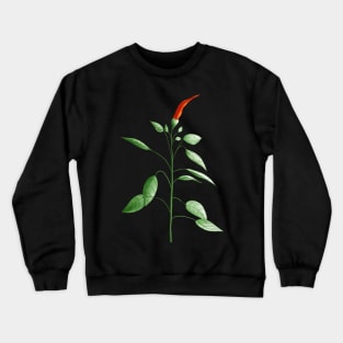 Hot Chili Pepper Plant Botanical Drawing Crewneck Sweatshirt